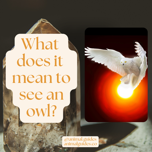 what does it mean to see an owl, owl spirit animal, animal totem