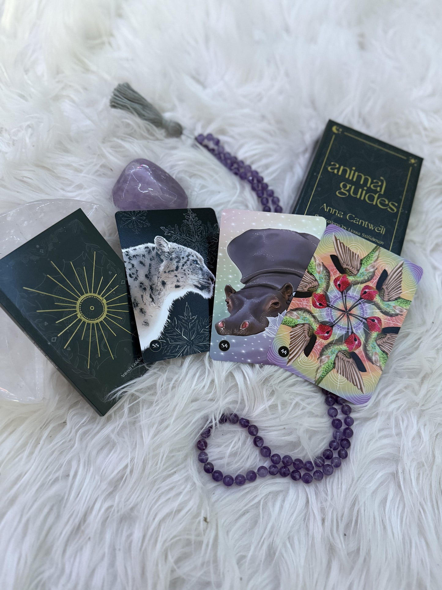 Animal Guides® Oracle Card Deck (56 Cards) + Guidebook
