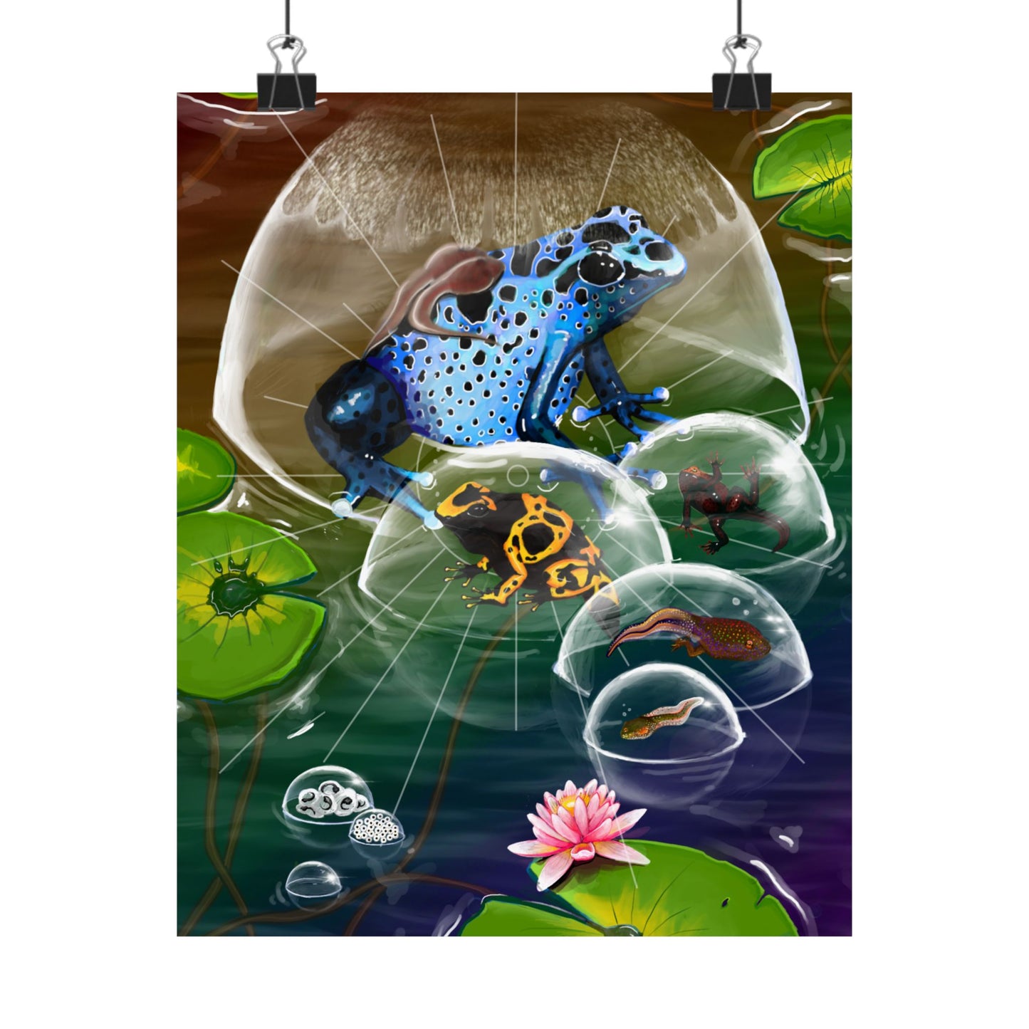 Poison Dart Frog — Clarity + Cleansing Wall Art Print
