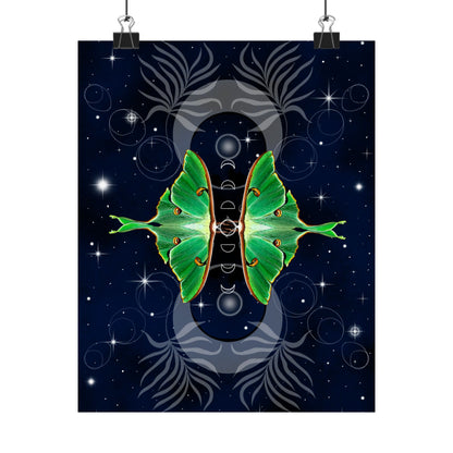 Luna Moth Animal Guide–Transformation & Good Fortune Wall Art