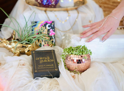 Animal Guides® Oracle Card Deck (56 Cards) + Guidebook