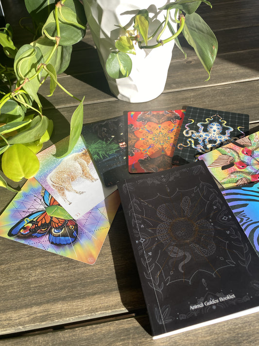 Animal Guides Oracle Card Deck + Booklet (2nd Edition)
